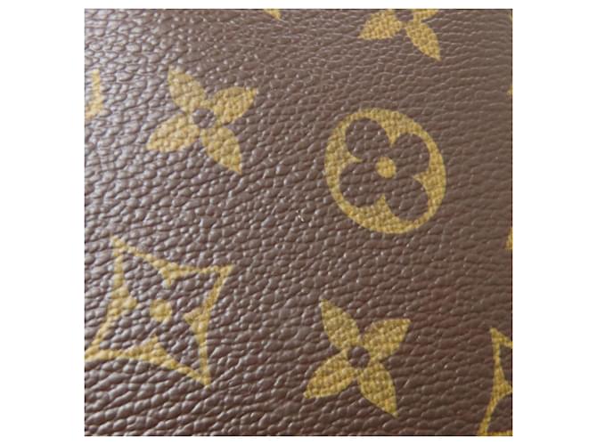 Borsa a Spalla Odeon PM Louis Vuitton Monogramma - vista 8