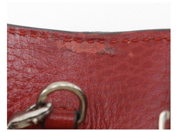 Borsa a spalla Gucci Dionysus con catena Rosso - vista 12