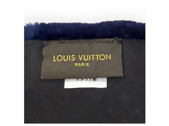 Sciarpa Darling in seta Beaver di Louis Vuitton Rosso Blu navy - vista 8