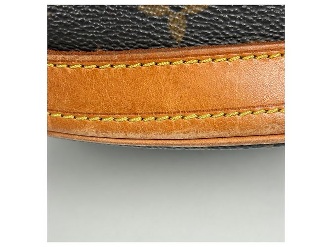 Borsa Tote Petite Bucket PM di Louis Vuitton Marrone - vista 3