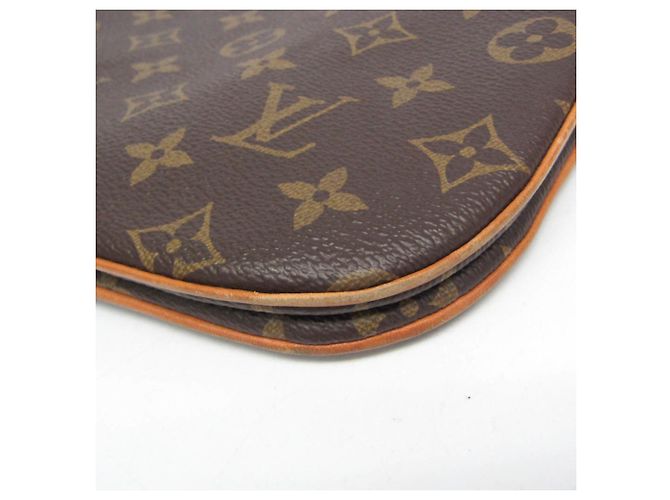 Borsa a Spalla Lorette Monogram Louis Vuitton Rosa Monogramma - vista 4
