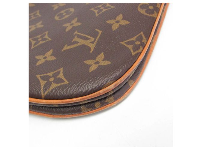 Borsa a Spalla Lorette Monogram Louis Vuitton Rosa Monogramma - vista 5