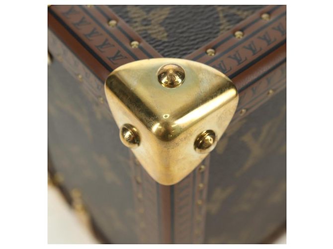LOUIS VUITTON Monogramm Pyramid Truhe M10052 LV Auth BAZ407SM - Ansicht 7