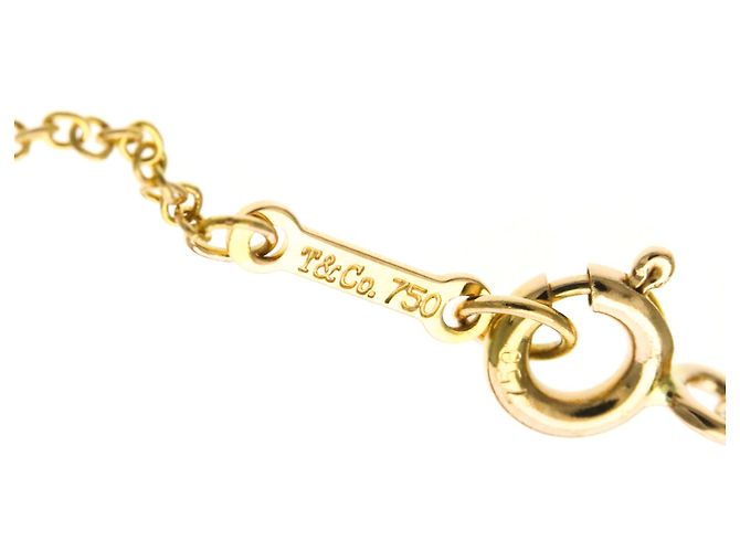 Tiffany & Co Collana Kiss & Hug di Tiffany Paloma Picasso D'oro - vista 10