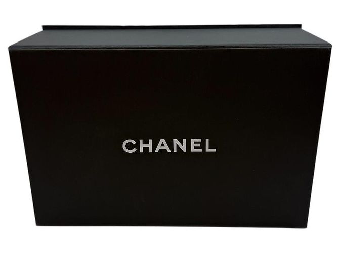Vanity Chanel Mini borsa a tracolla serie Caviar Filigree Blu - vista 8