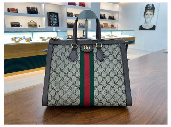 Gucci Borsa a Spalla Ophidia Tote Marrone - vista 2