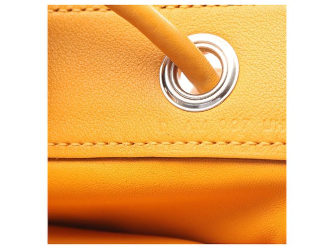 Bolso de Hombro Aline Mini Mostaza de Hermès Naranja - vista 5