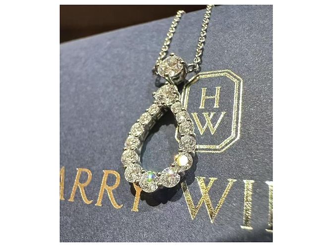 Collana Harry Winston Diamond Loop Medium Single-Ring in diamante Argento - vista 6