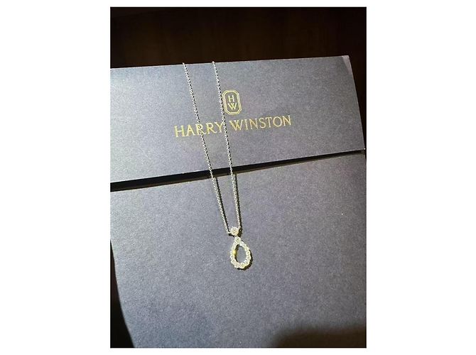 Collana Harry Winston Diamond Loop Medium Single-Ring in diamante Argento - vista 8