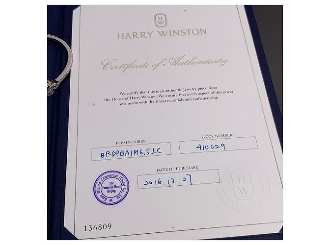 Bracciale Harry Winston Lily Cluster Diamanti Platino Taglia S Argento - vista 5