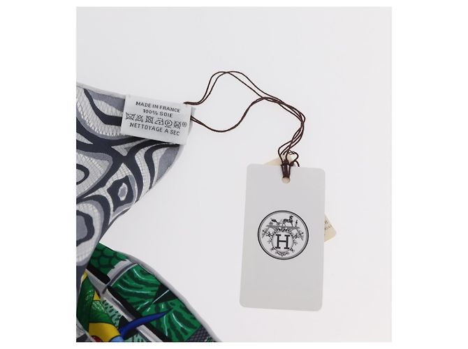 Hermès HERMES Sciarpa Carré 90 "LA MARCHE DU ZAMBEZE" Sete Multicolore Auth 176082V - vista 11