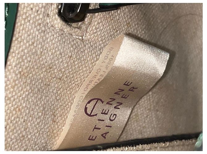 Clutch Etienne Aigner in pelle verde - vista 11