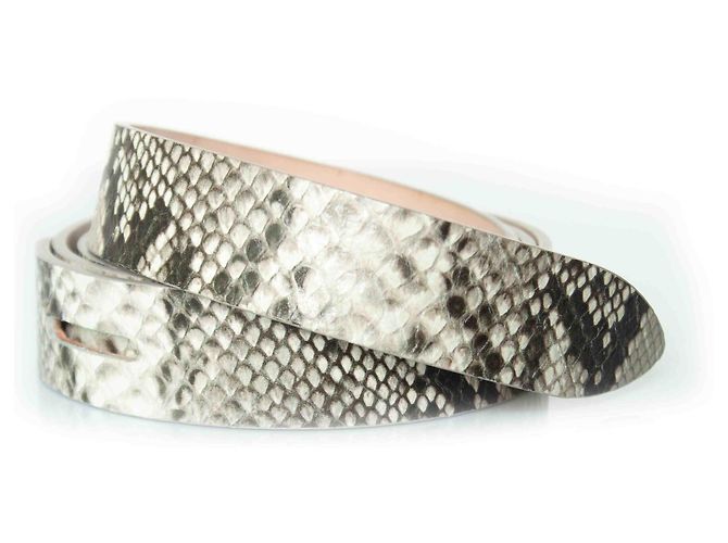 Ceinture Lecce en imprimé serpent clair d'Isabel Marant - vue 2