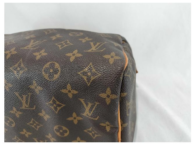 Borsa a mano Speedy Louis Vuitton in tela Monogram 30 Marrone - vista 2