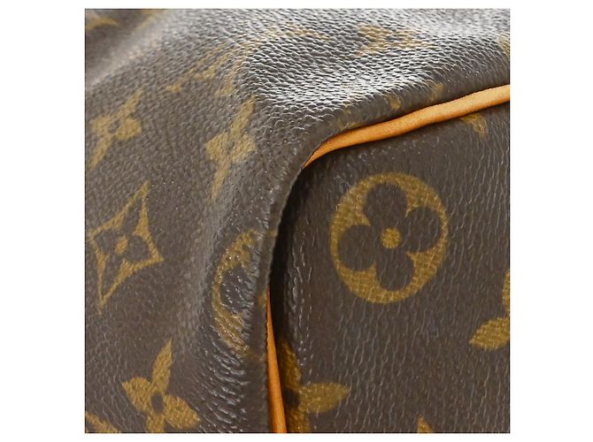 Louis Vuitton Speedy Monogram Canvas 40 Marrone - vista 7