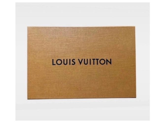 Borsa Tote Louis Vuitton LV Dream Exhibition Beige Blu chiaro - vista 5