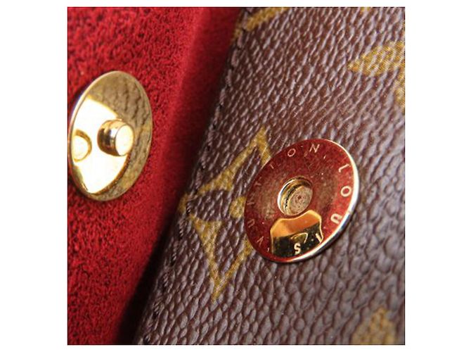 Louis Vuitton Borsa Viva Cite PM Monogramma Marrone - vista 10
