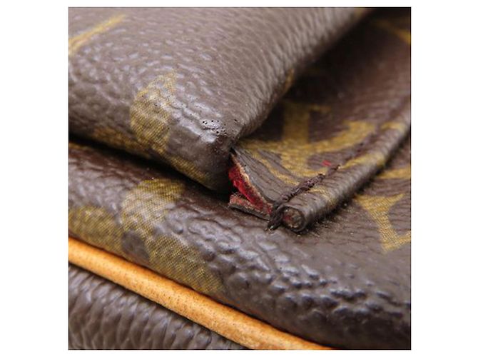 Louis Vuitton Borsa Viva Cite PM Monogramma Marrone - vista 12
