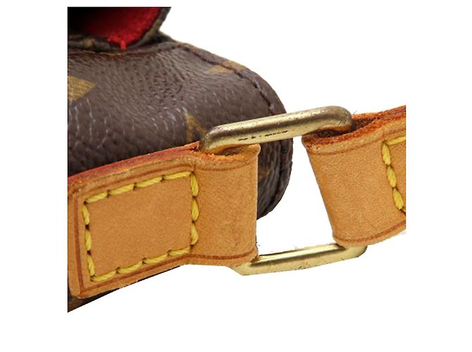 Louis Vuitton Borsa Viva Cite PM Monogramma Marrone - vista 19