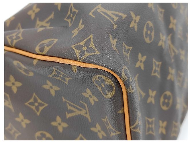 Speedy Louis Vuitton Monogram Cabas Marrone - vista 4