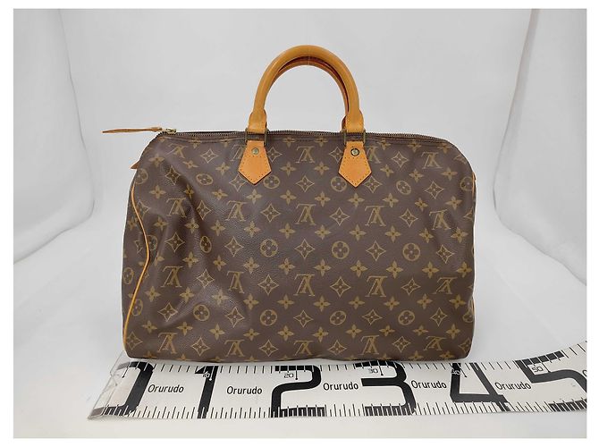 Borsa Speedy Rotonda Louis Vuitton Monogramma Bouclettes Multicolore - vista 2