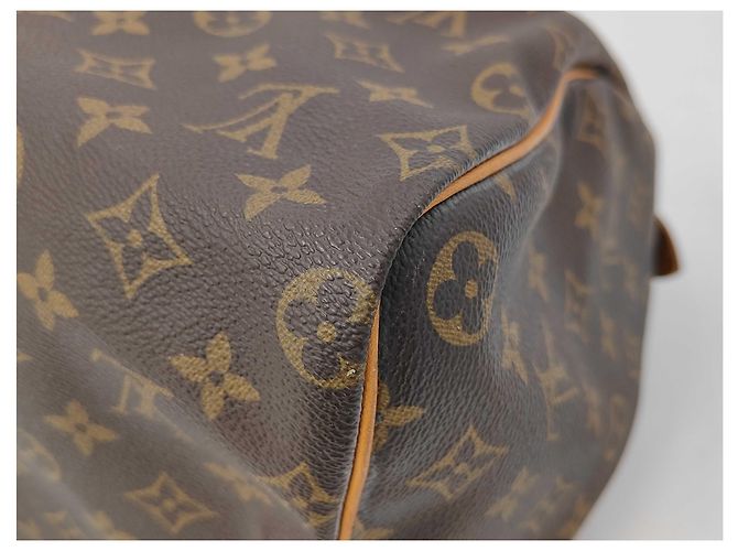 Borsa Speedy Rotonda Louis Vuitton Monogramma Bouclettes Multicolore - vista 3
