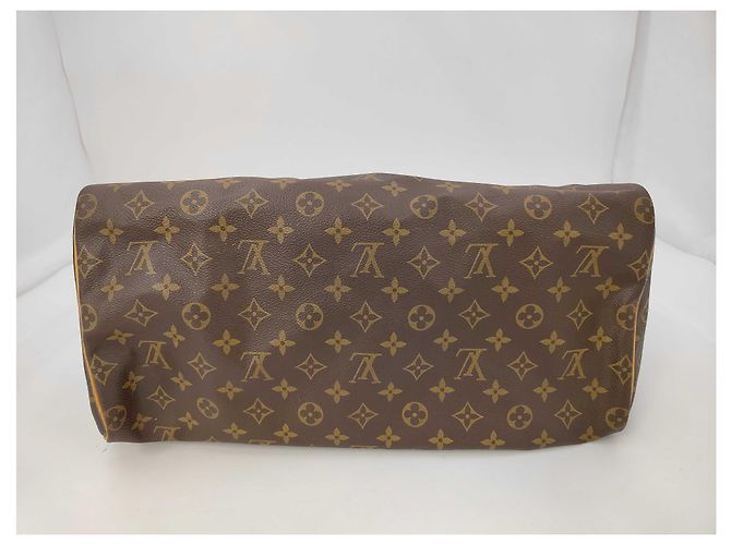 Borsa Speedy Rotonda Louis Vuitton Monogramma Bouclettes Multicolore - vista 4