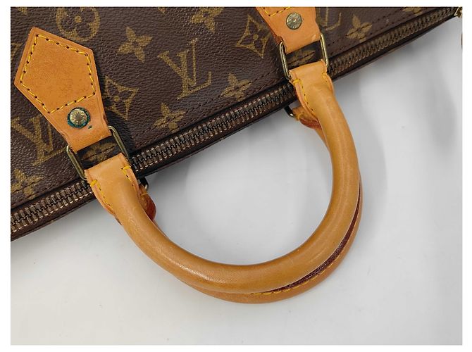 Borsa Speedy Rotonda Louis Vuitton Monogramma Bouclettes Multicolore - vista 5