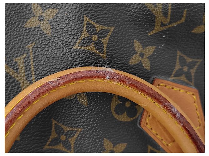 Borsa Speedy Rotonda Louis Vuitton Monogramma Bouclettes Multicolore - vista 6