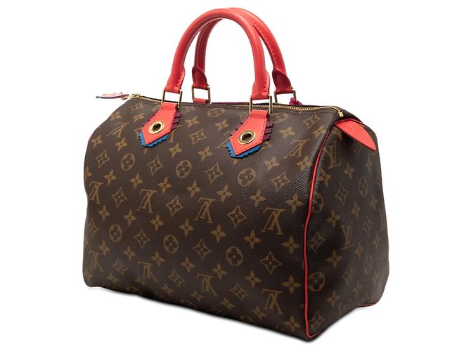 Louis Vuitton Monogram Cabas Speedy 30 Marrone - vista 2