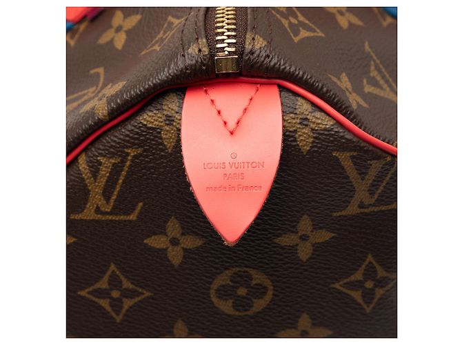 Louis Vuitton Monogram Cabas Speedy 30 Marrone - vista 6