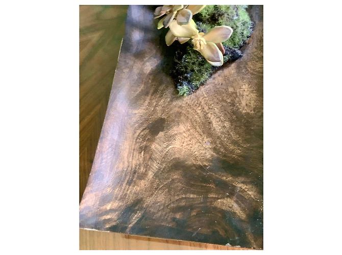Autre Marque Emilio Robba "Orchids of Illusion" Philippine Ebony Sculpture Brown Multiple colors - view 10