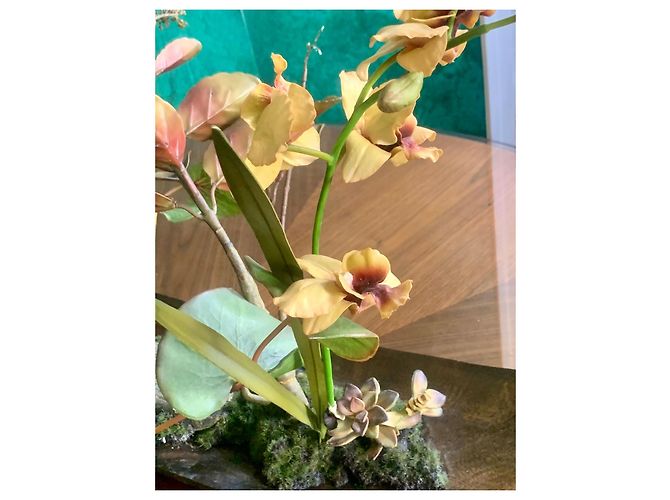 Autre Marque Emilio Robba "Orchids of Illusion" Philippine Ebony Sculpture Brown Multiple colors - view 11