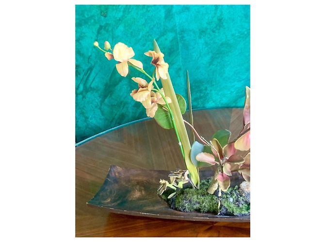 Autre Marque Emilio Robba "Orchids of Illusion" Philippine Ebony Sculpture Brown Multiple colors - view 3