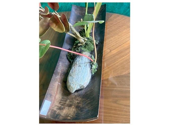 Autre Marque Emilio Robba "Orchids of Illusion" Philippine Ebony Sculpture Brown Multiple colors - view 4