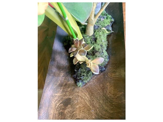 Autre Marque Emilio Robba "Orchids of Illusion" Philippine Ebony Sculpture Brown Multiple colors - view 7