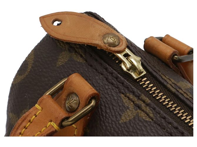 Pochette Mini Speedy Monogram Louis Vuitton Marrone - vista 5