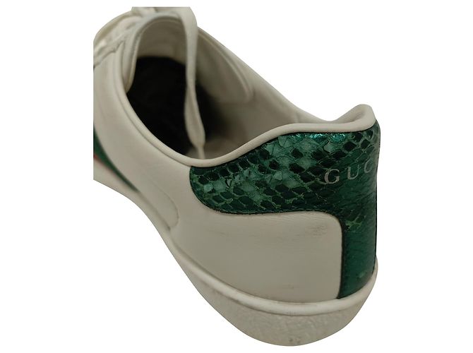 Sneakers basse Gucci Ace Bee in pelle bianca Bianco - vista 10