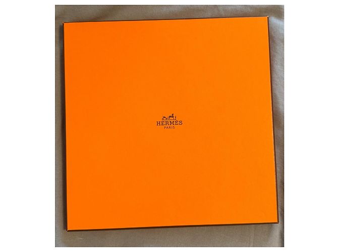 Hermès Carré 90 Seta La Marche du Zambèze - vista 2