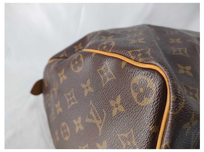 Borsa a mano Speedy Louis Vuitton in tela Monogram 30 Beige - vista 4