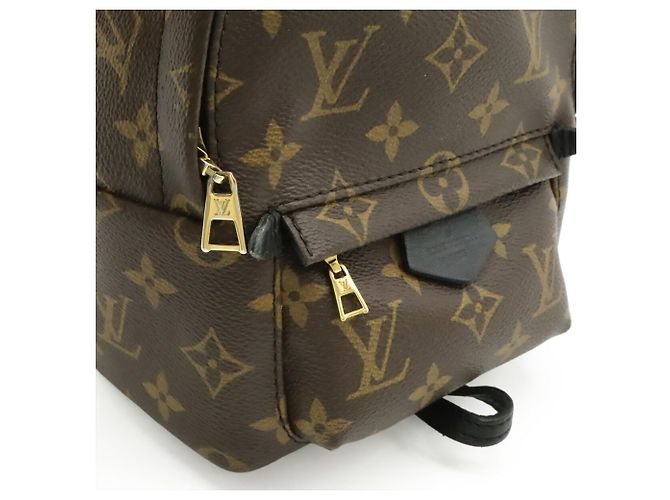 Zaino Mini Palm Springs Monogram Louis Vuitton Marrone - vista 10