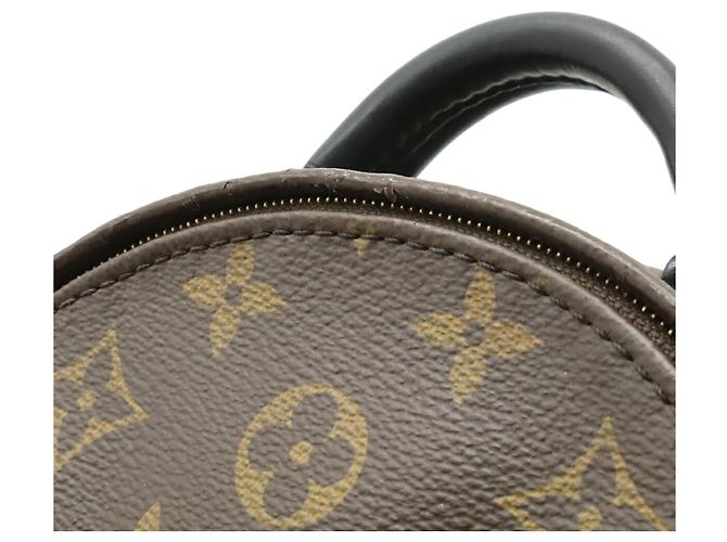 Zaino Mini Palm Springs Monogram Louis Vuitton Marrone - vista 9