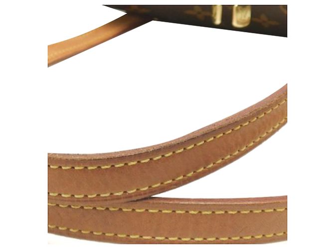 Louis Vuitton Brown Monogram Coussin GM - view 15