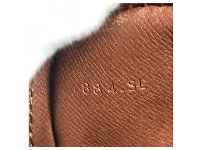 Borsa a Spalla Mini Danube Monogramma Louis Vuitton Marrone - vista 16