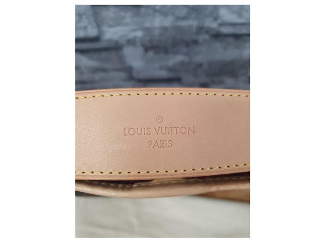 Borsa Louis Vuitton Delightful PM Monogram Pivonie Marrone Rosa - vista 7