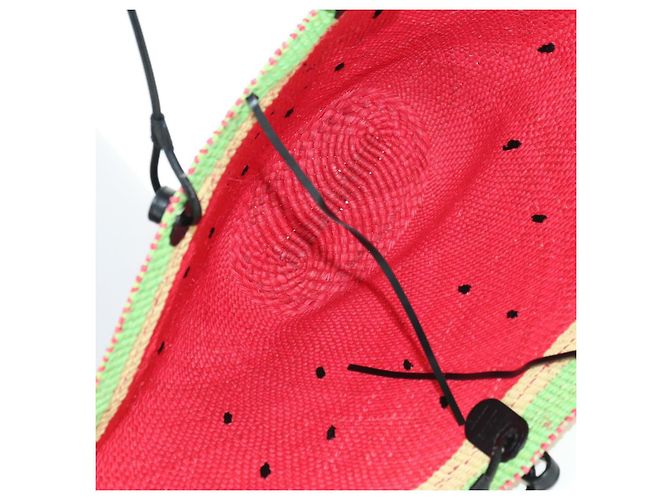 LOEWE Wassermelon Tote Bag Raffia 2-Wege Rot Auth 177162SAV - Ansicht 11