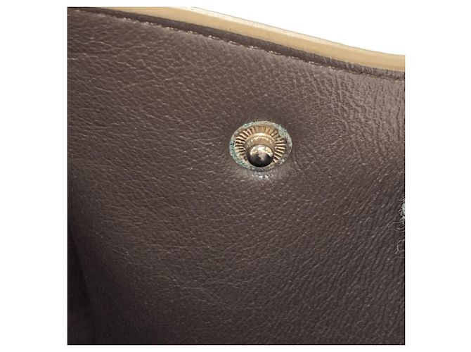 Céline Bolso Celine Trapeze 2-Way Castaño - vista 13