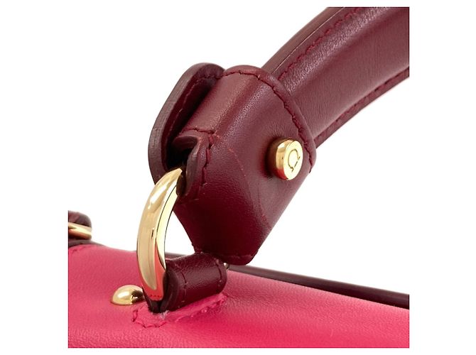 Borsa Salvatore Ferragamo Sofia Gancini Hardware Rosa Bordò - vista 27