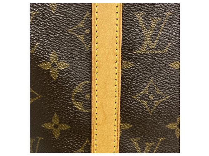 Borsa Tote Louis Vuitton Monogram Bucket GM Marrone - vista 10