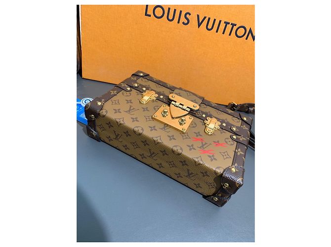 Borsa Louis Vuitton Petite Malle Edizione Limitata Marrone - vista 2